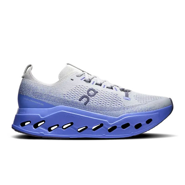 ON RUNNING Men's Cloudsurfer Max Wolf | Sailor