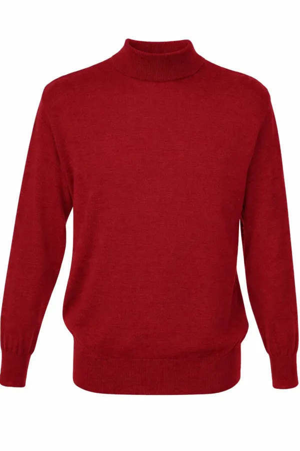 Gionfriddo Made in Italy Italian Merino Blend Turtleneck- Wine WINE