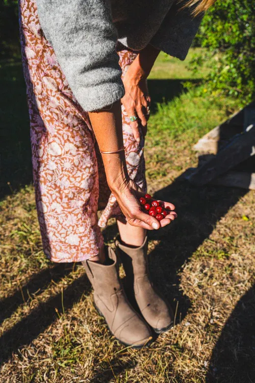 Blundstone Originals #2529 Mushroom