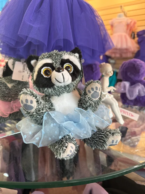 Dasha Designs Fuzzy Dance Raccoon Plush