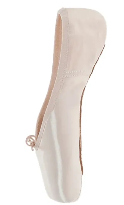 DANCER'S MARKET Crafting/Decorating Pointe Shoe
