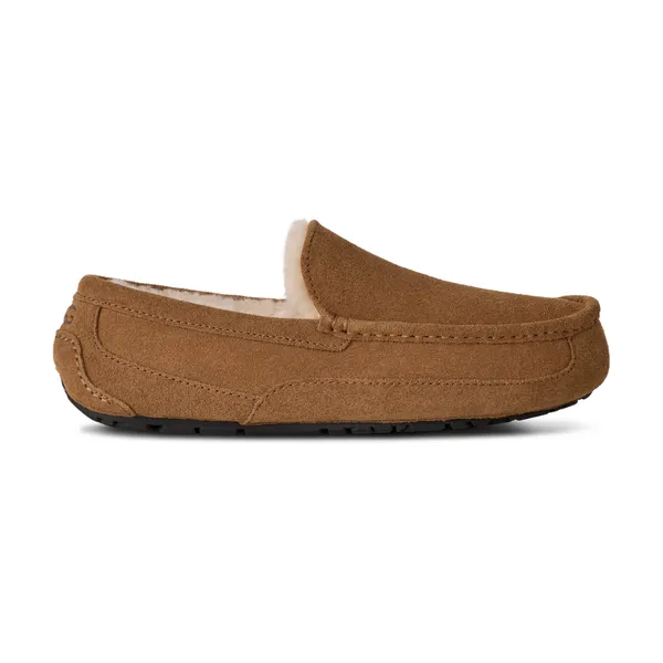 UGG Ascot - Men's Chestnut