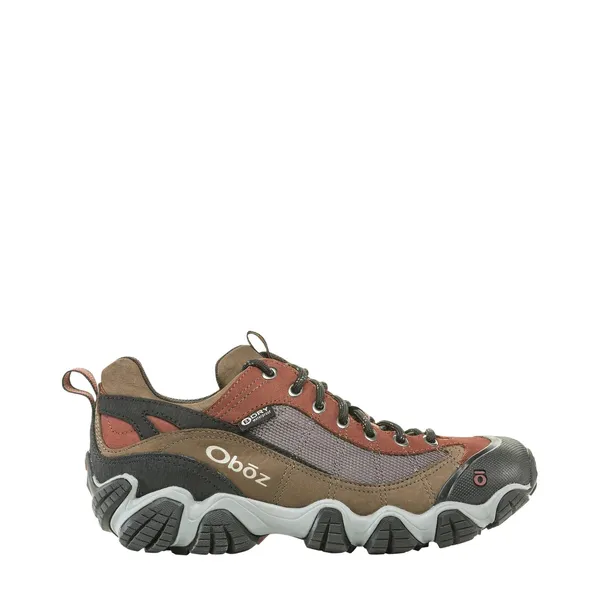 Oboz Men's Firebrand II Low Waterproof EARTH