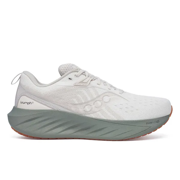 Saucony Men's Triumph 22 Moon | Bough