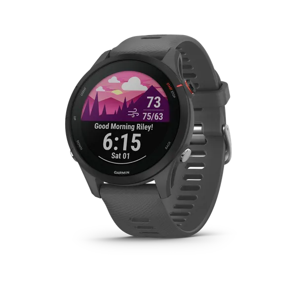 GARMIN Forerunner 255 SLATE GRAY
