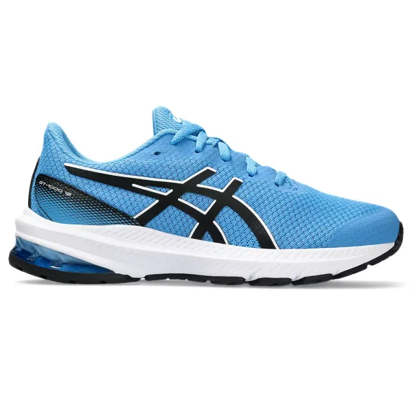 Asics Youth GT 1000 12 GS Waterscape/Black